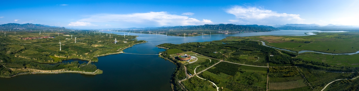 ʪ����̬��