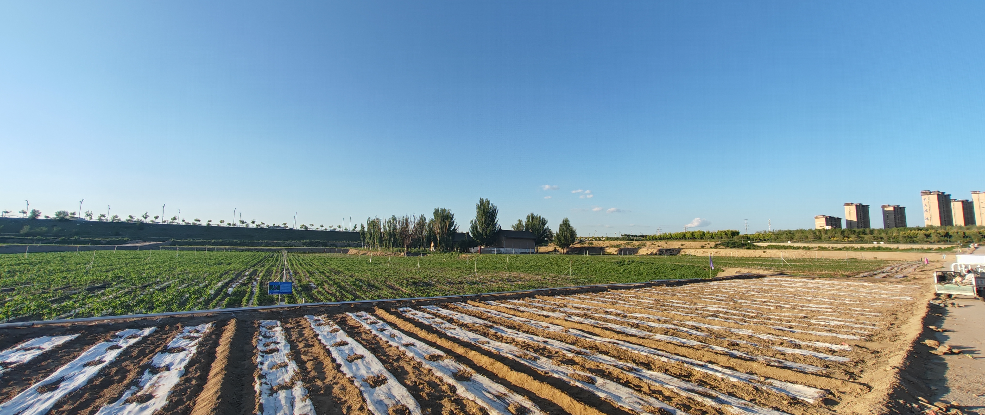 ��ͬ��Ӫ��˾���ͬ��ƽ������������ǩ�����Ӿ���ũҵ��Ŀ����Э��