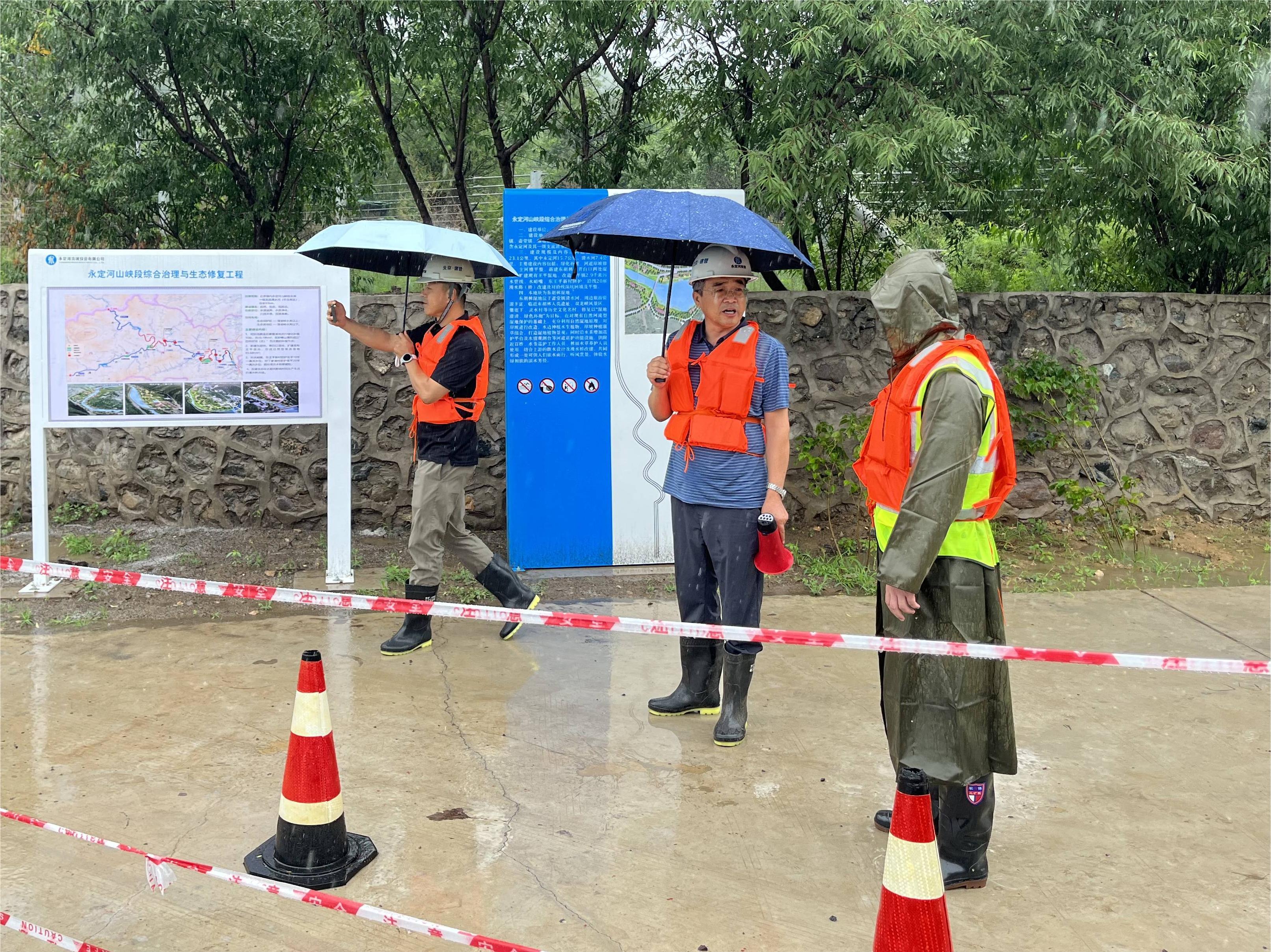 �������ȷ��11�������еġ������ߡ�