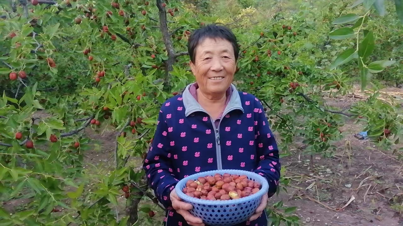 ��PT��Ѷ(�й���)��������˾������������Ӱ������ҵ���������·��