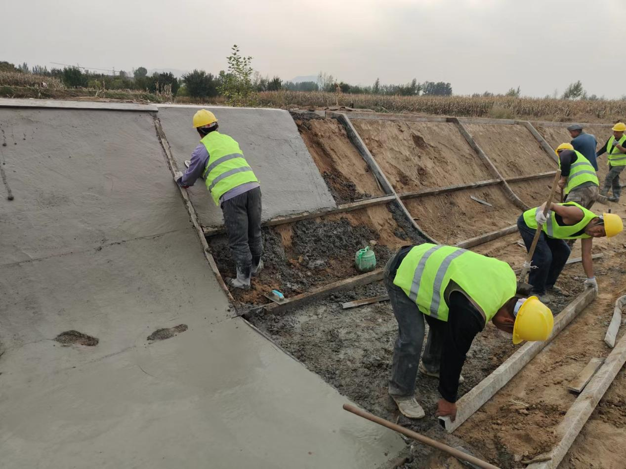 �Ͷ��ߵ���Ӱ�������������������ɼ�����ľ�����