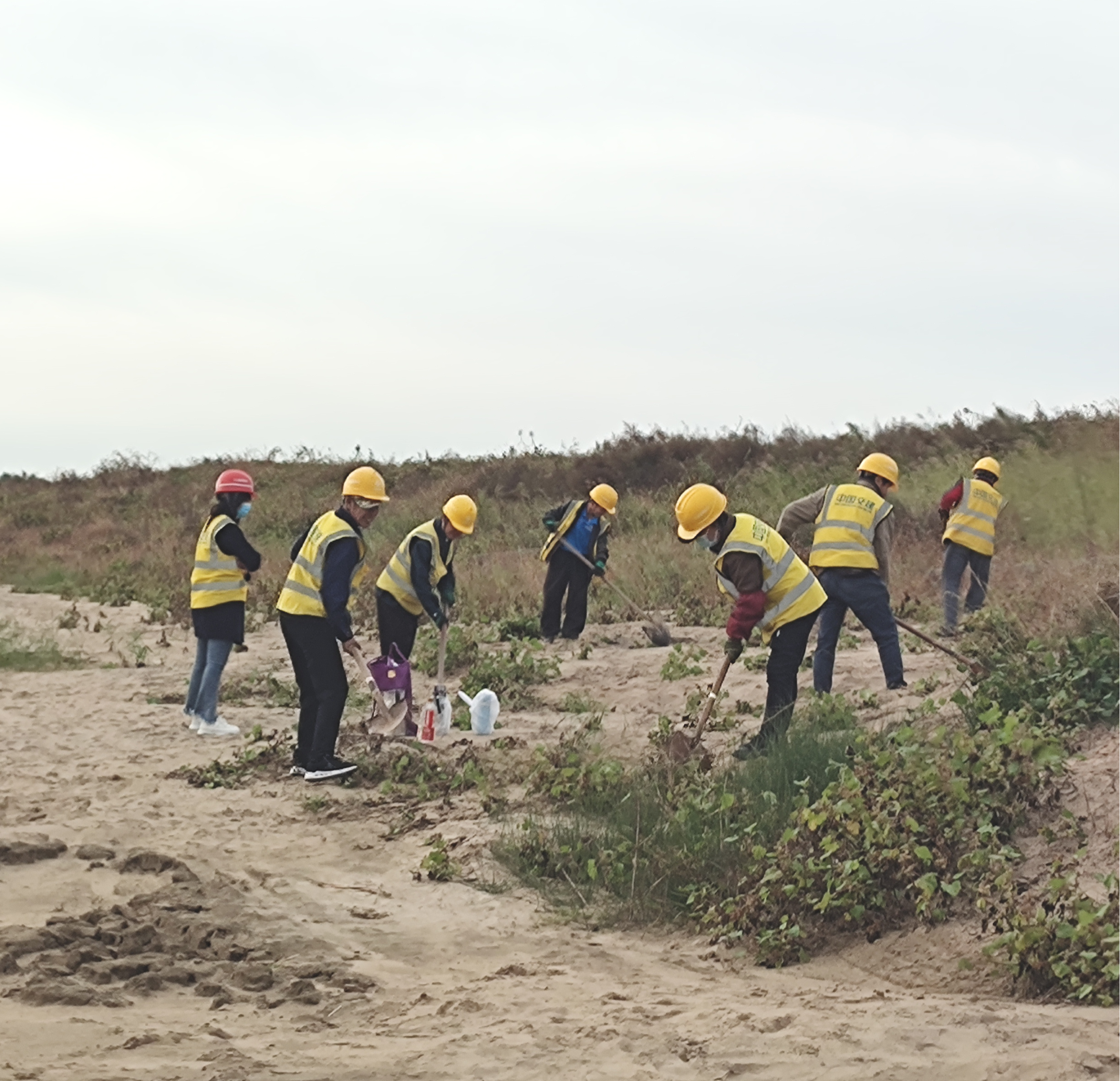 �Ͷ��ߵ���Ӱ�������������������ɼ�����ľ�����