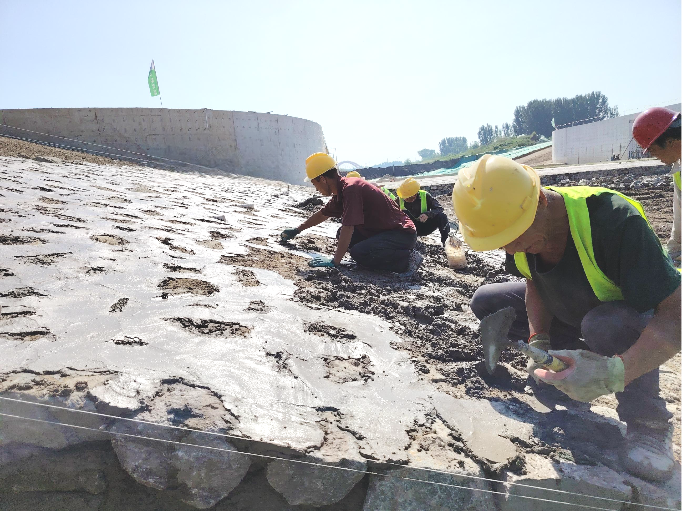 �Ͷ��ߵ���Ӱ�������������������ɼ�����ľ�����