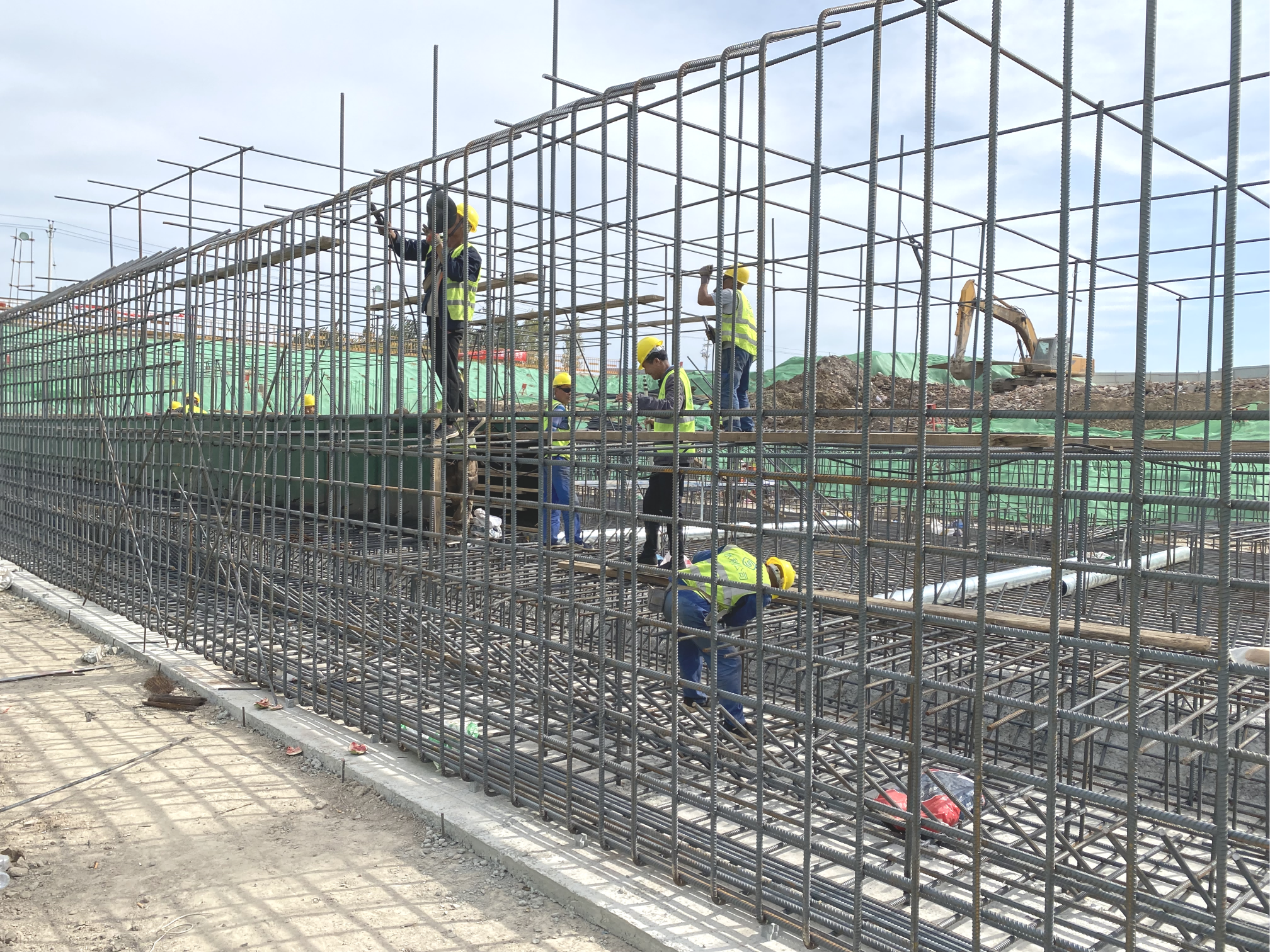 �Ͷ��ߵ���Ӱ�������������������ɼ�����ľ�����