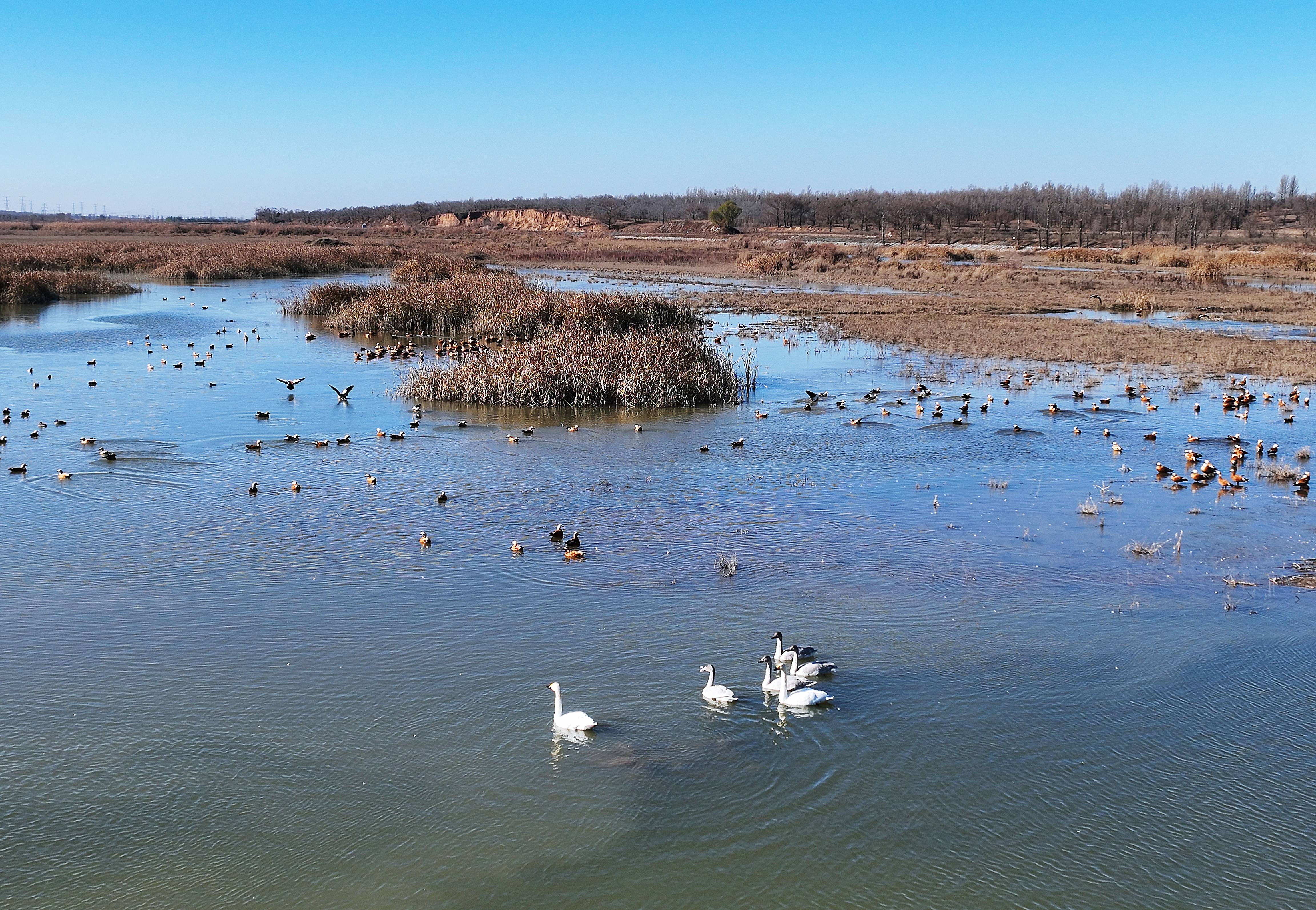 ��ͬɣ�ɺӷ��������ͳ���Ѽ