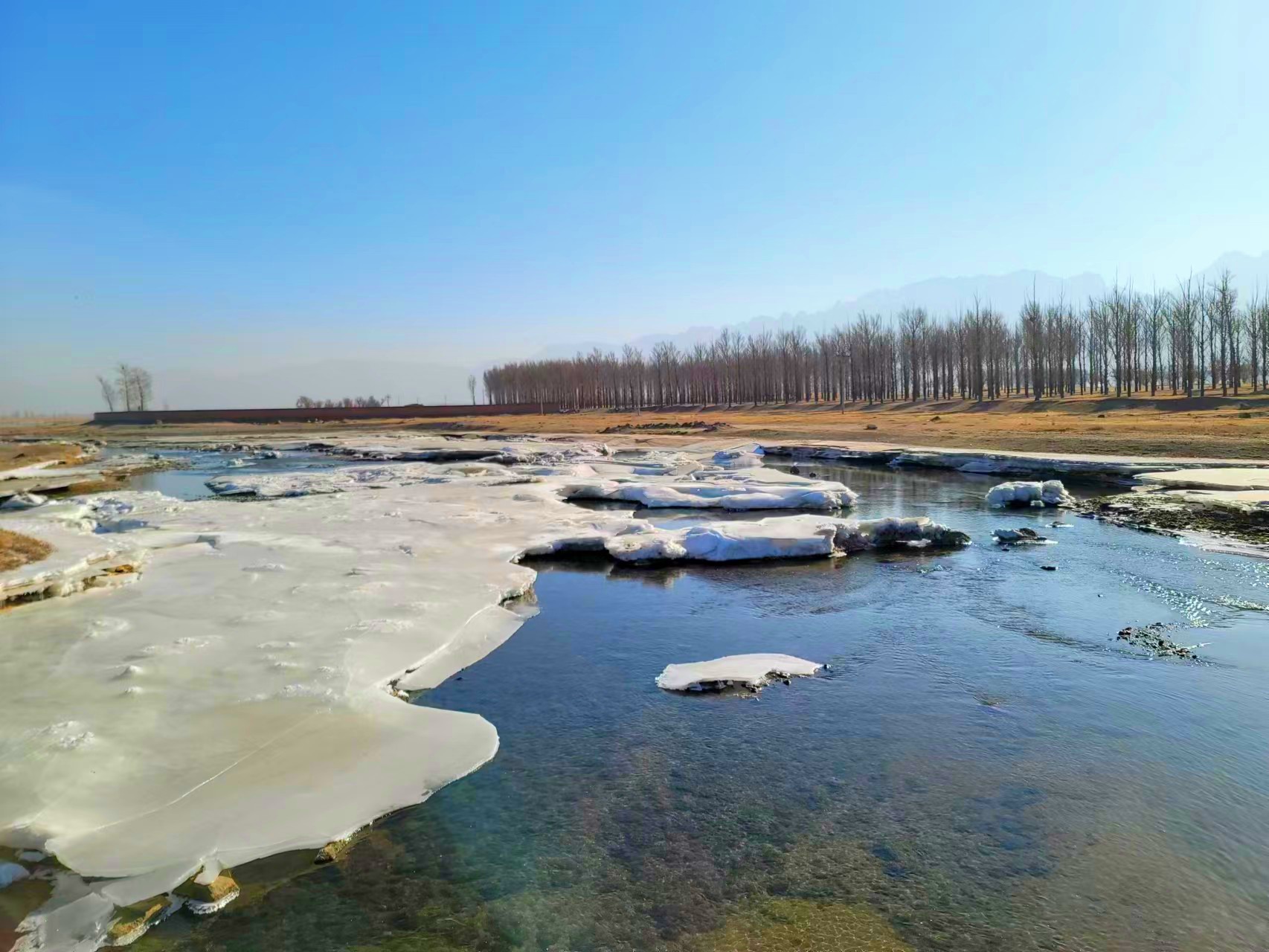 桑御汇流 美美与共 桑御汇流 美美与共