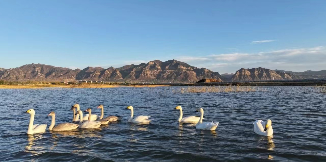 ��Դ��̬��˾ | ������趯��Ϫʪ��