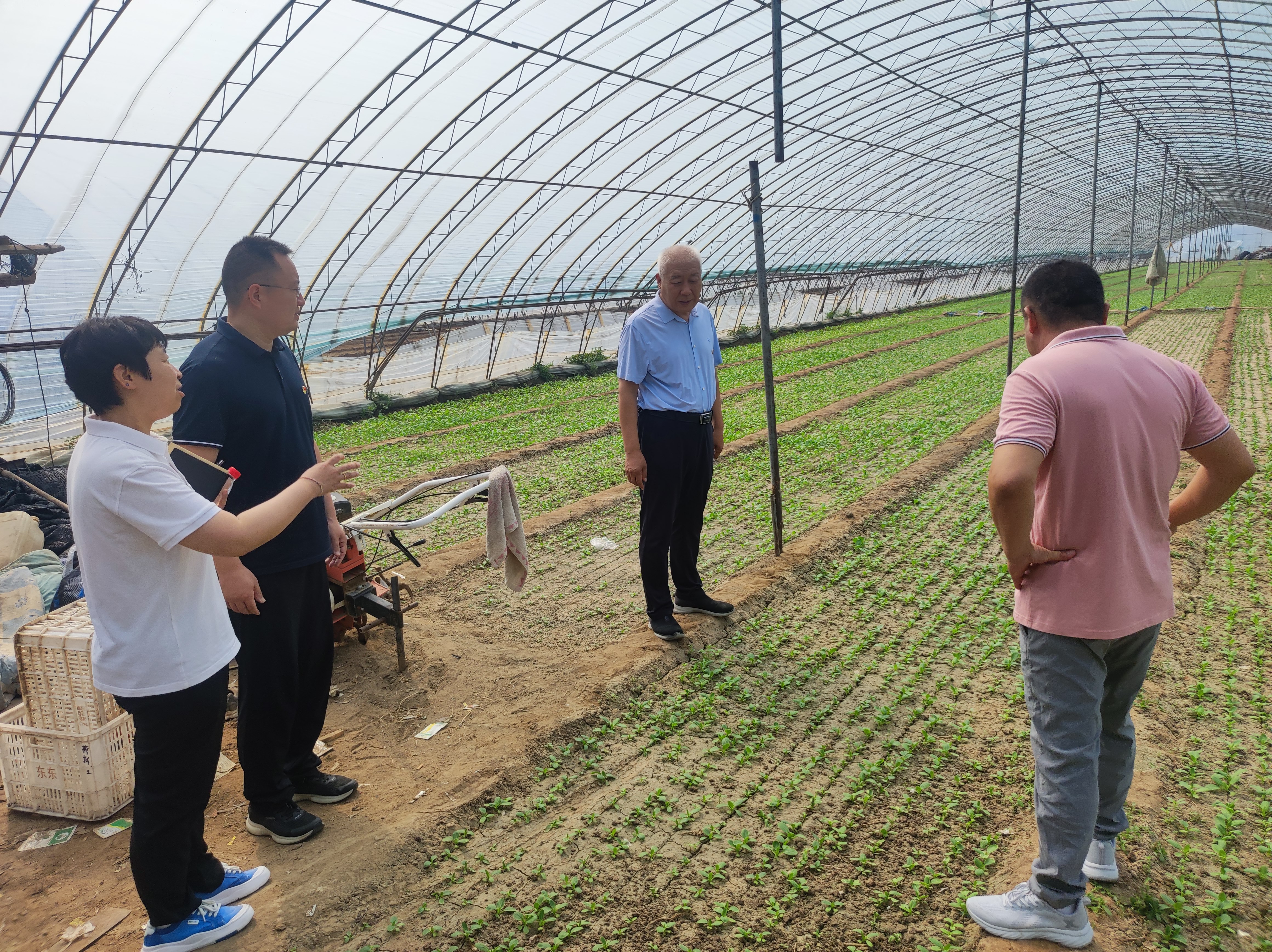 驻村驻心惠民生 真情帮扶促振兴 驻村驻心惠民生 真情帮扶促振兴