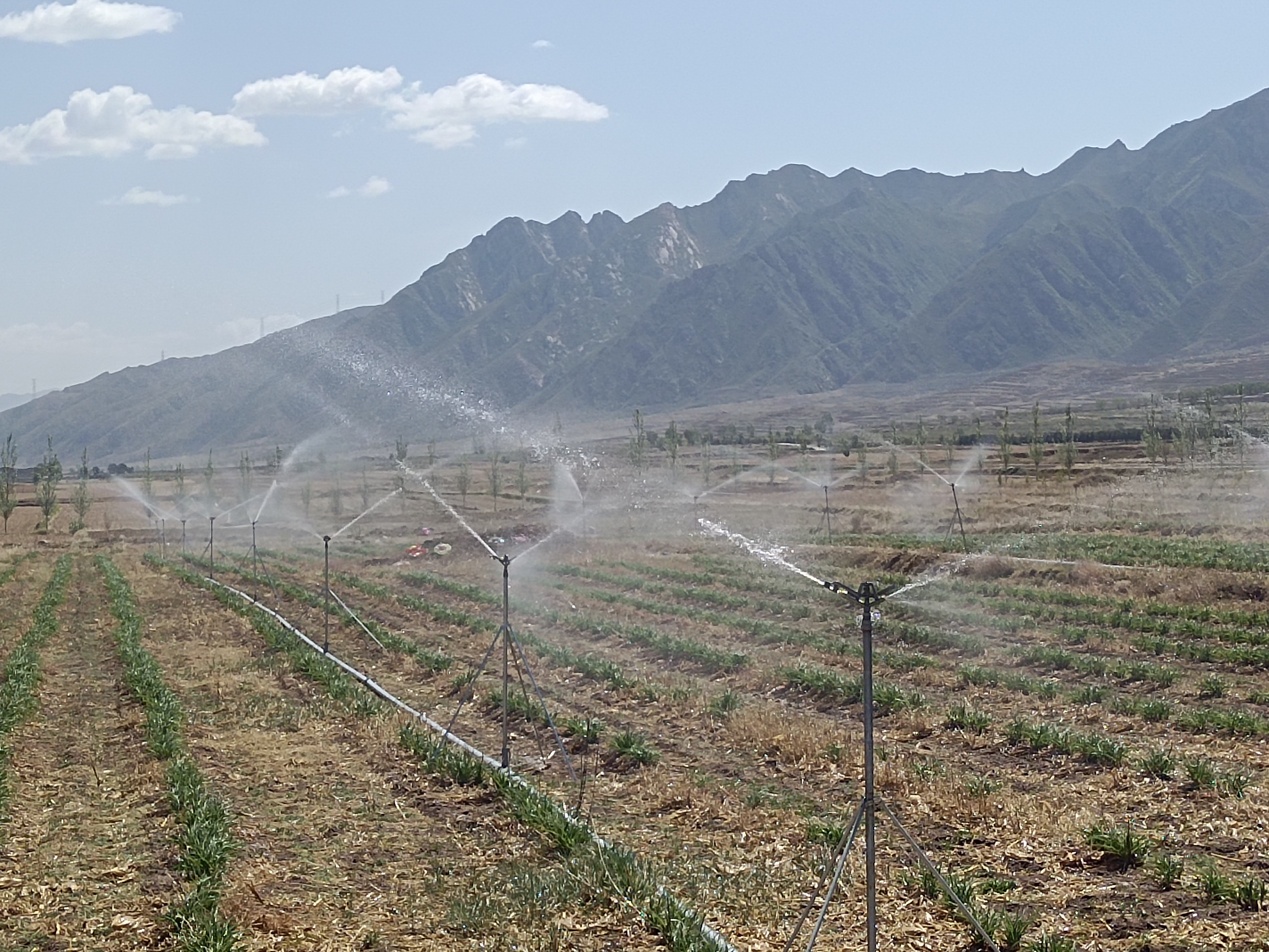 ��ͬ�ֹ�˾ | �����عų�����ʯ���Ƭ��ũ����֯����Ч��ˮ���๤��ͨ���깤����