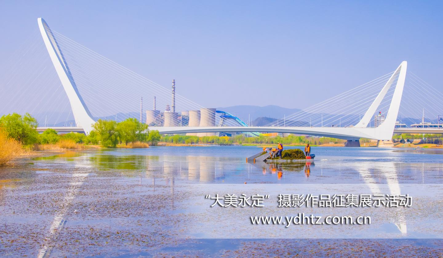 �����조������������Ӱ��Ʒ�����˶�Ч������