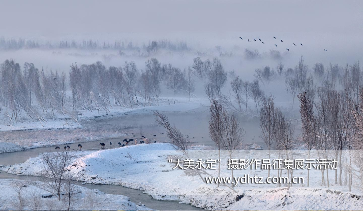 �����조������������Ӱ��Ʒ�����˶�Ч������