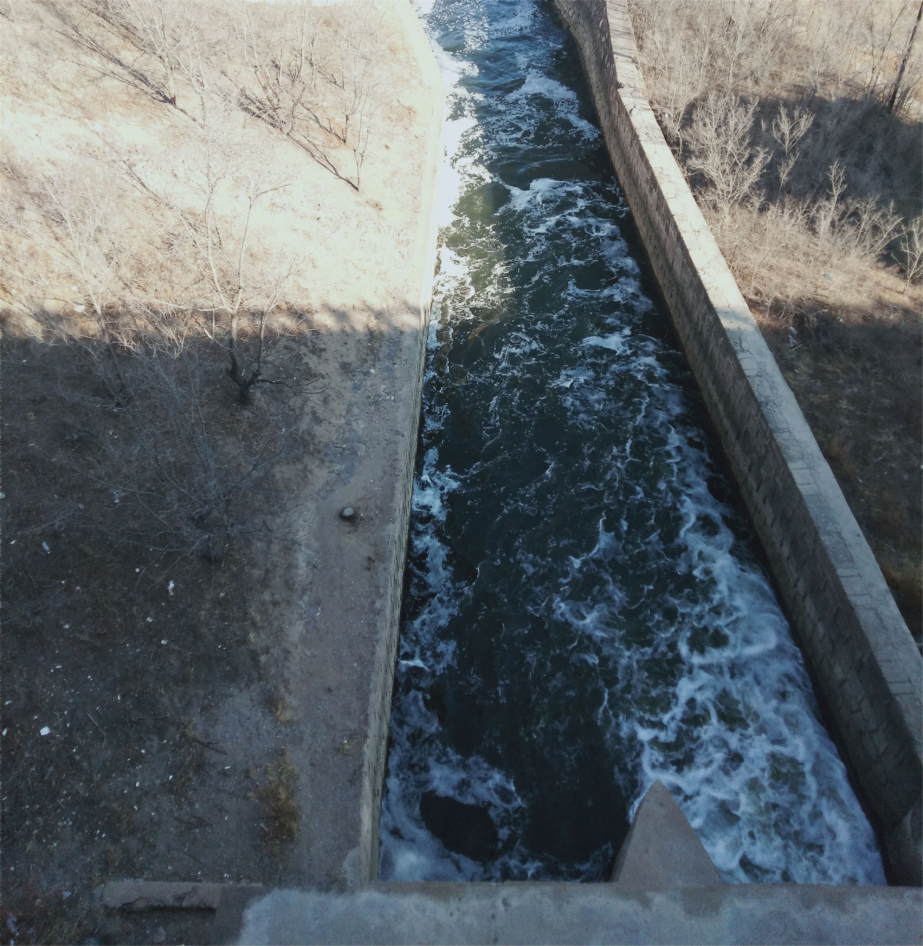 �ӻ���̬��˾ | ��������Ӷ�����������������