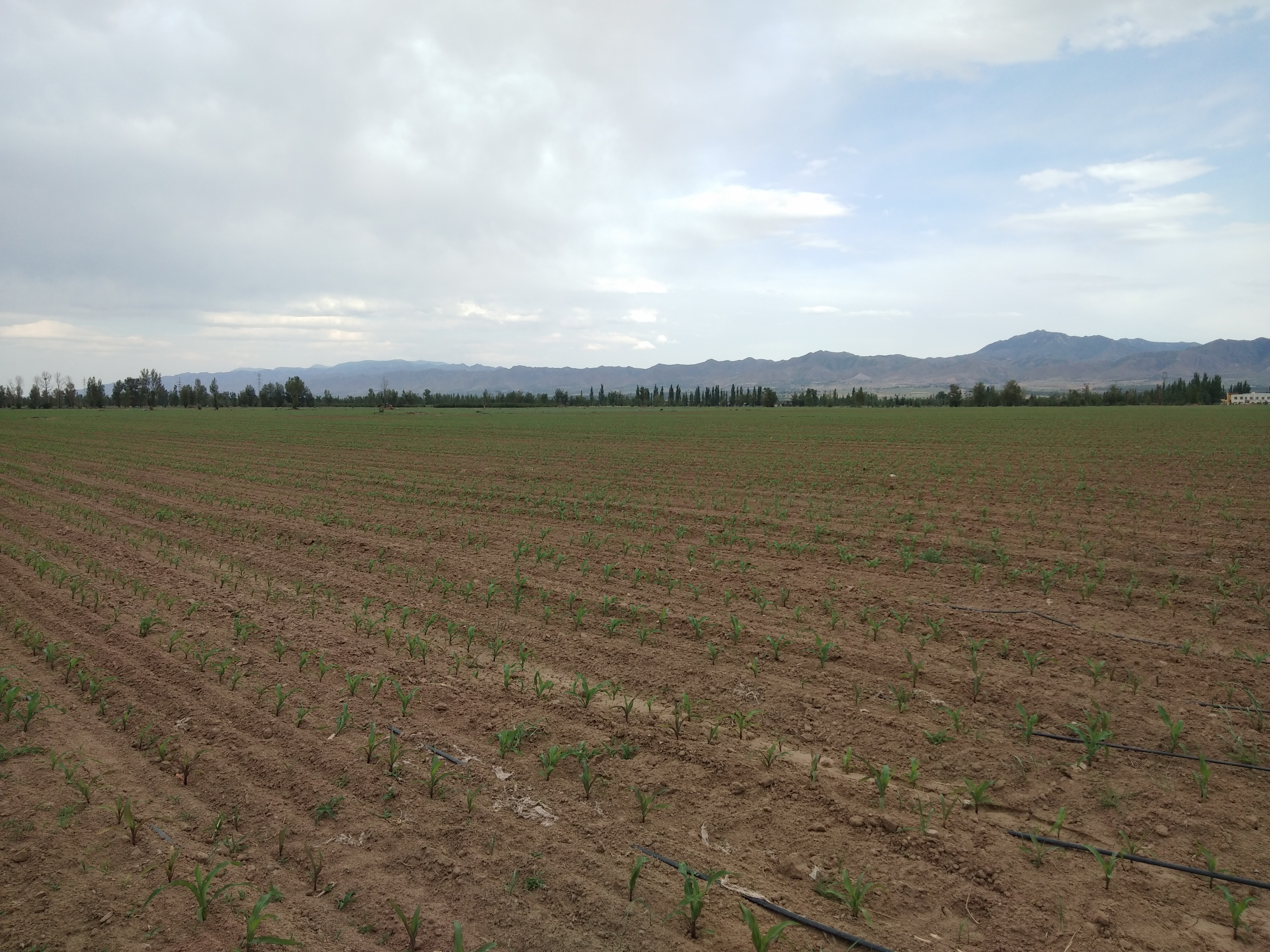 ����ˮ�� �й�ˮ�� | PT��Ѷ(�й���)��������ˮ���Ρ�����չ��������