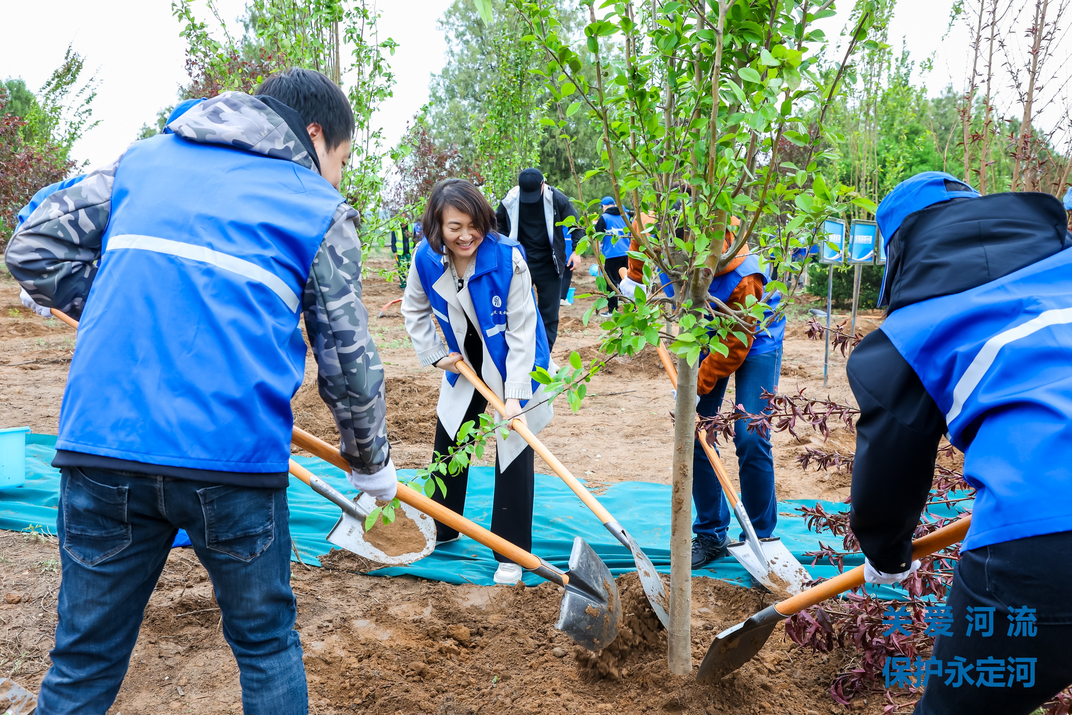 ��ֲ�������� ����������ɫ�ҵס���2024�ꡰ�ذ����� ������������PT��Ѷ(�й���)�������˶��ھ�����