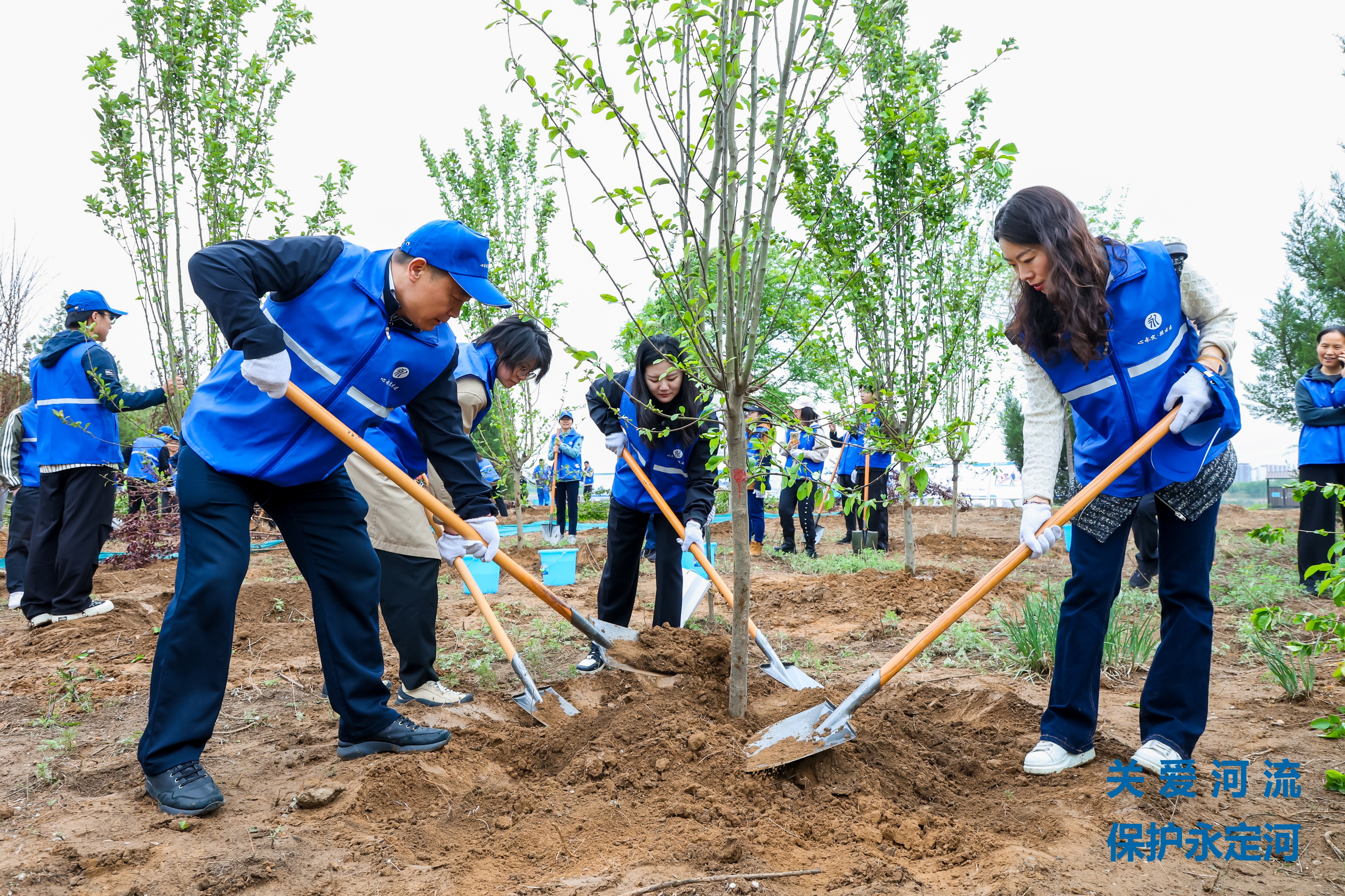 ��ֲ�������� ����������ɫ�ҵס���2024�ꡰ�ذ����� ������������PT��Ѷ(�й���)�������˶��ھ�����