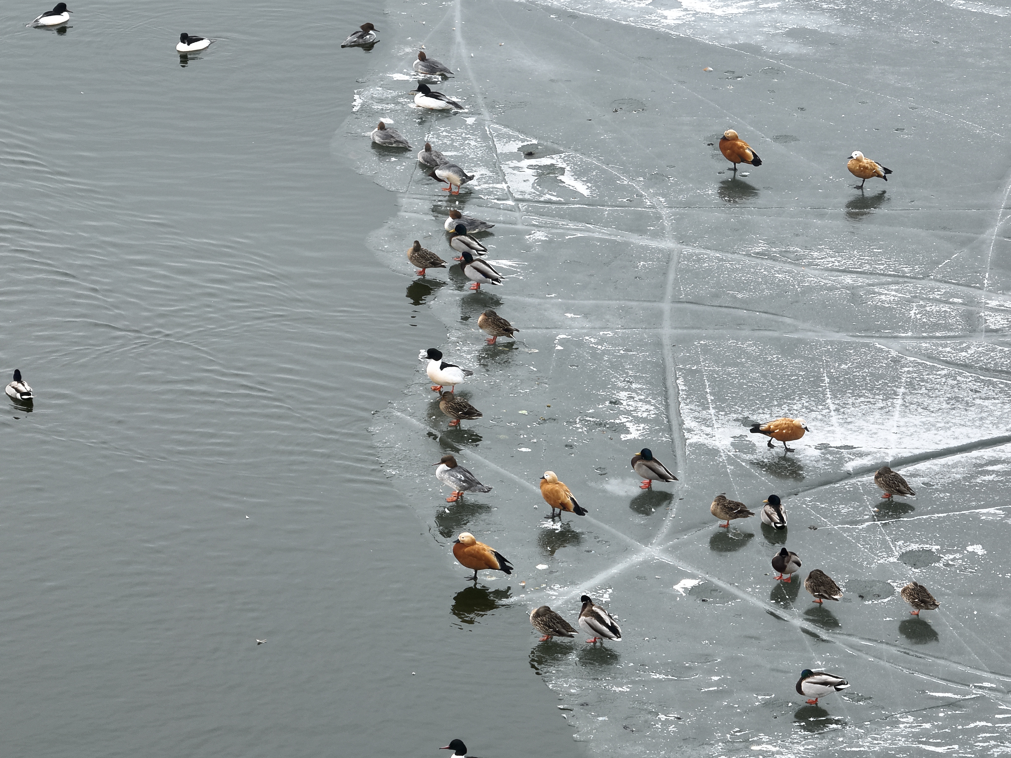 ��բ��PT��Ѷ(�й���)����2025�괺����̬��ˮ��ȫ����