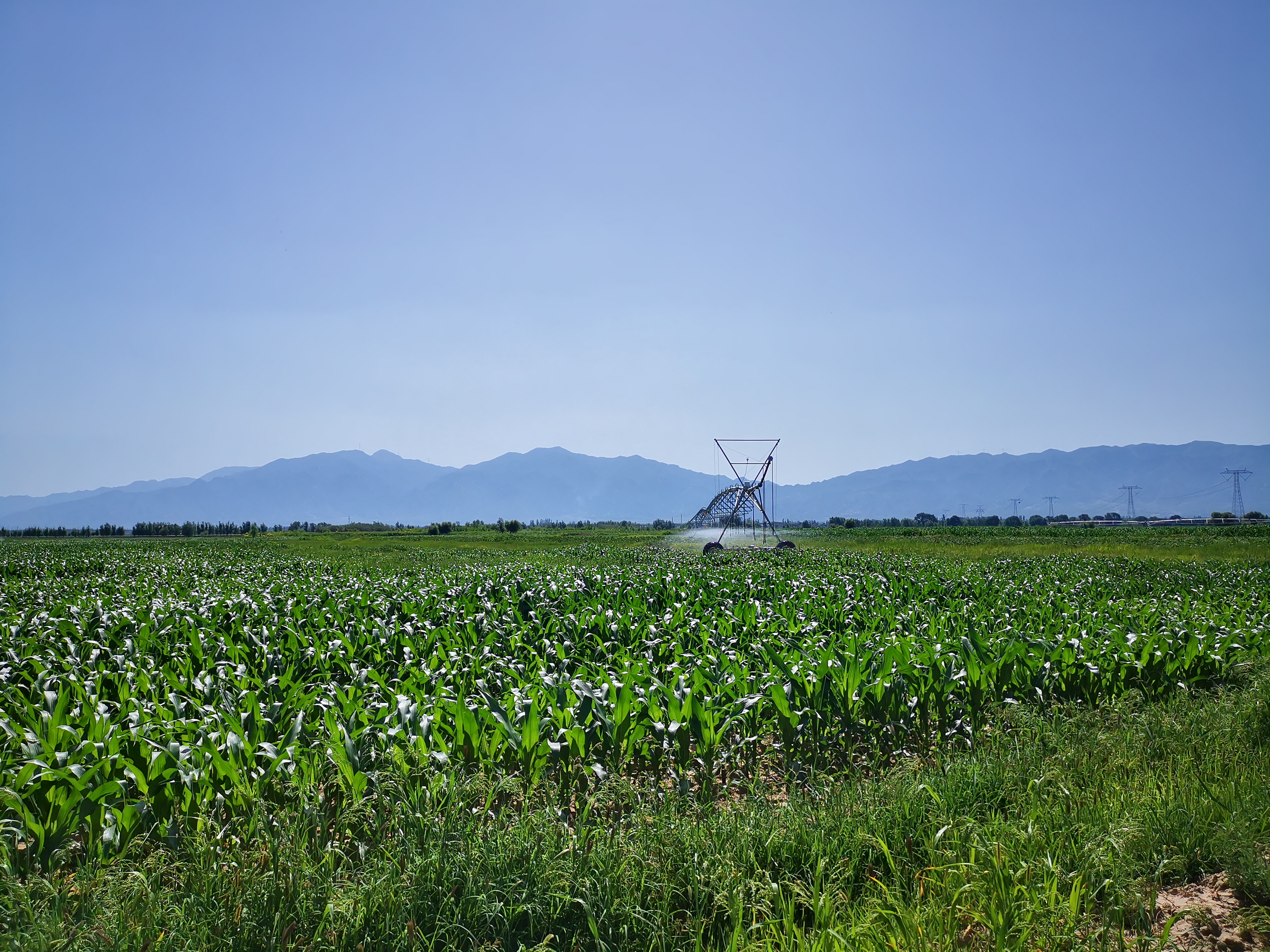 山阴县农牧交织带桑干河灌区故驿片区高效节水浇灌工程通过完工验收 山阴县农牧交织带桑干河灌区故驿片区高效节水浇灌工程通过完工验收