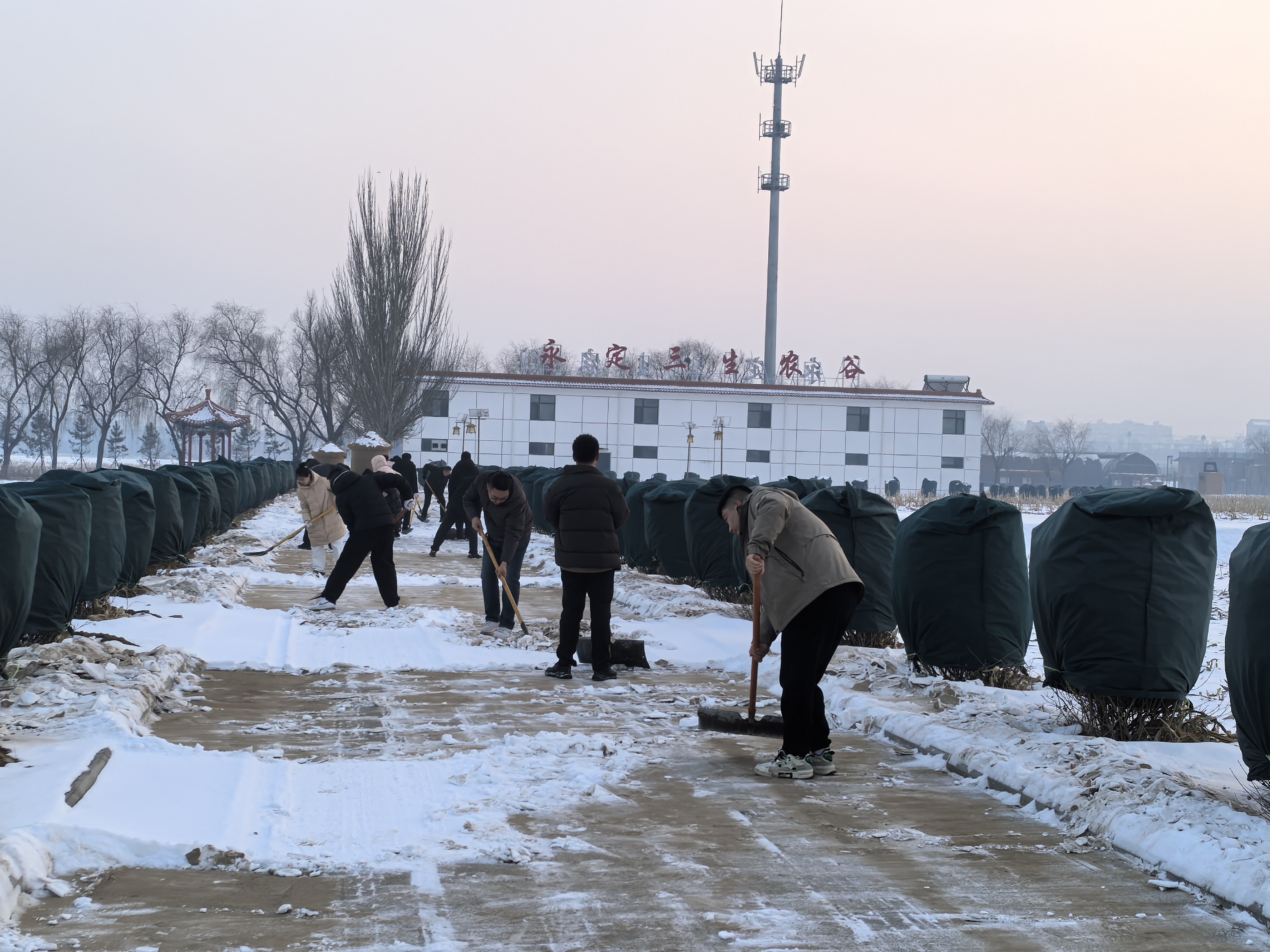 大同运营公司开展扫雪除冰事情 大同运营公司开展扫雪除冰事情