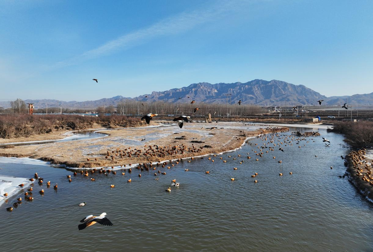 ѼѼѼѼѼѼѼѼѼѼ��������ͬ�⴦������ˡ��������á�