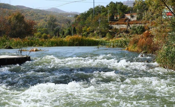 党建互联 支部共建 北京市PT视讯(中国区)官网综合治理与生态修复向导小组办公室与公司团结开展主题党日运动 党建互联 支部共建 北京市PT视讯(中国区)官网综合治理与生态修复向导小组办公室与公司团结开展主题党日运动