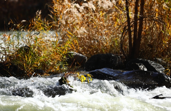 党建互联 支部共建 北京市PT视讯(中国区)官网综合治理与生态修复向导小组办公室与公司团结开展主题党日运动 党建互联 支部共建 北京市PT视讯(中国区)官网综合治理与生态修复向导小组办公室与公司团结开展主题党日运动