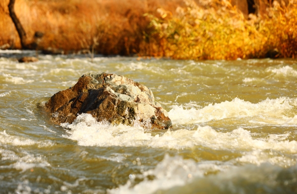 党建互联 支部共建 北京市PT视讯(中国区)官网综合治理与生态修复向导小组办公室与公司团结开展主题党日运动 党建互联 支部共建 北京市PT视讯(中国区)官网综合治理与生态修复向导小组办公室与公司团结开展主题党日运动