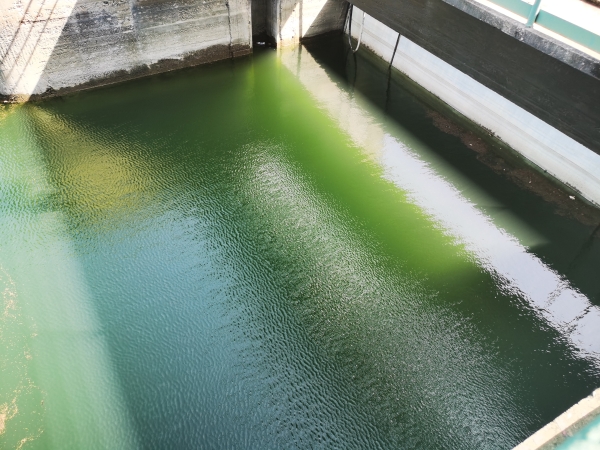 ÔÓÎïÕûÀíºó ÔÓÎïÕûÀíºó