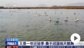 ��������ح�ӱ��żҿڣ�����һ��Ǩ�㼾 ɣ�ɺ�ʪ�������