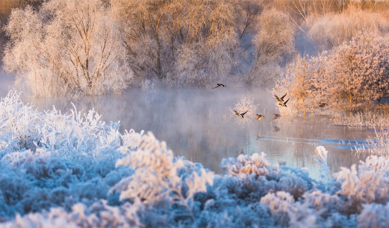 PT��Ѷ(�й���)������ڡ�ؾ�